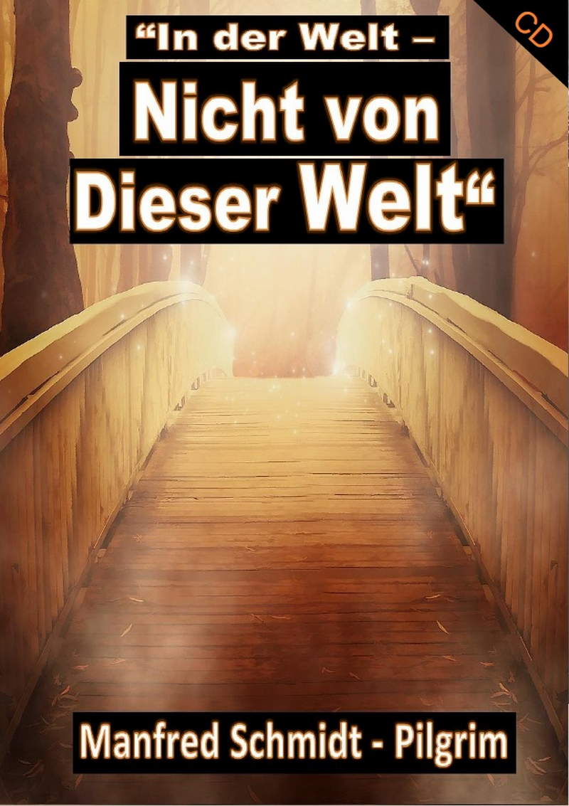 Manfred Schmidt: In der Welt - Nicht von dieser Welt (CD)