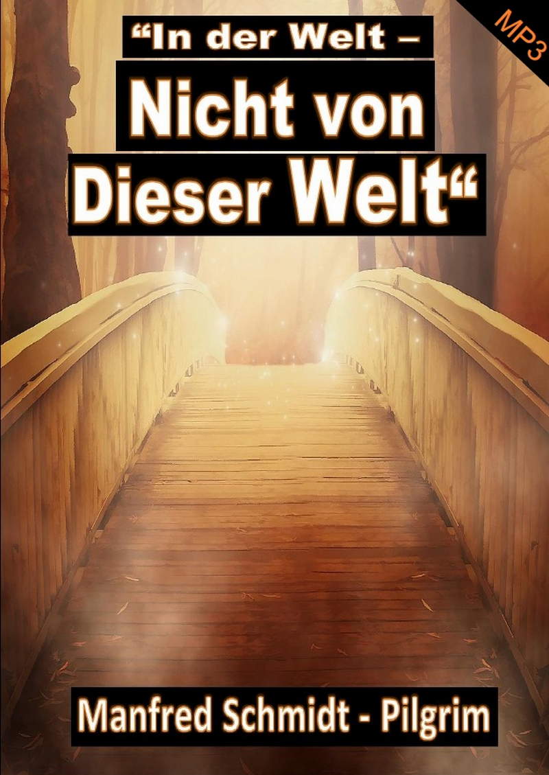Manfred Schmidt: In der Welt - Nicht von dieser Welt (MP3)