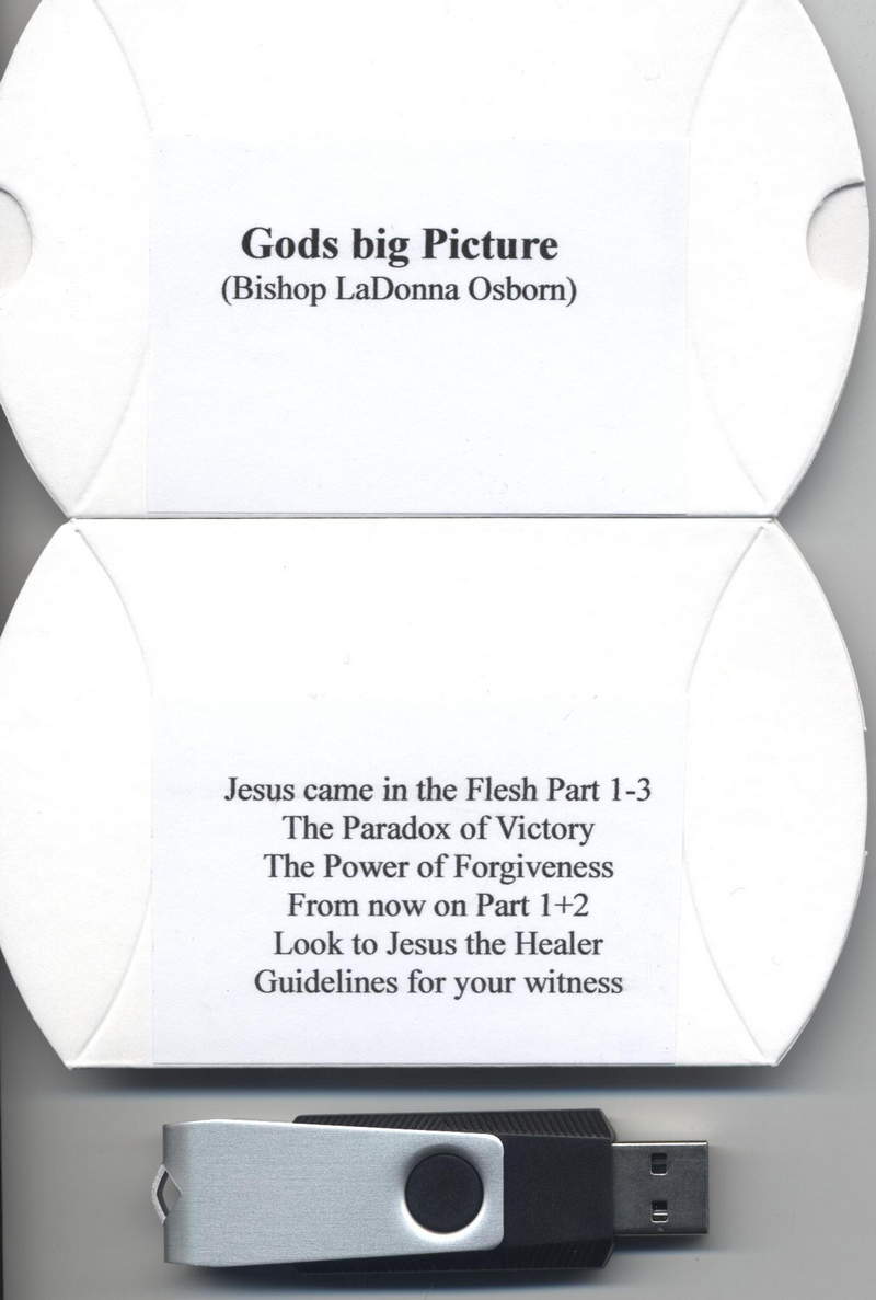 LaDonna C. Osborn: God´s Big Picture (Stick)