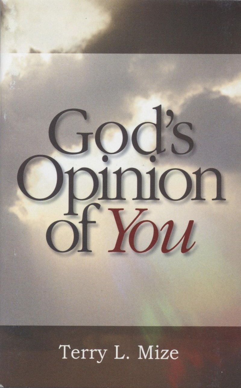 Englische Bücher - Terry Mize: God's Opinion of You