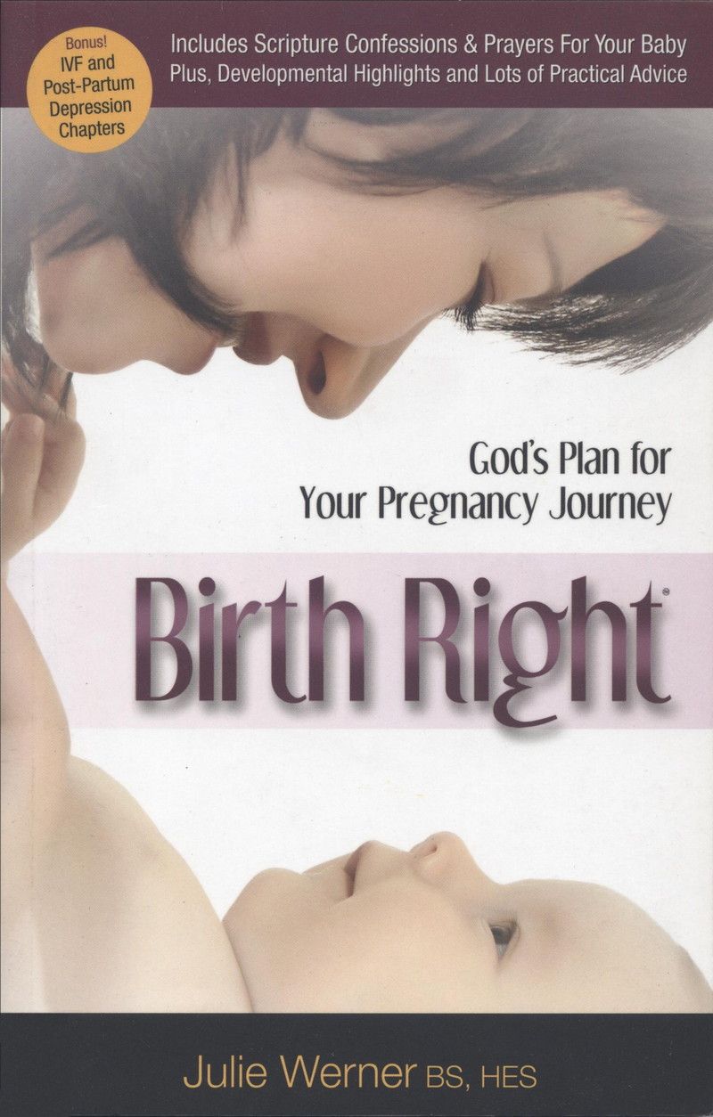 Englische Bücher - J. Werner: Birth Right Paperback
