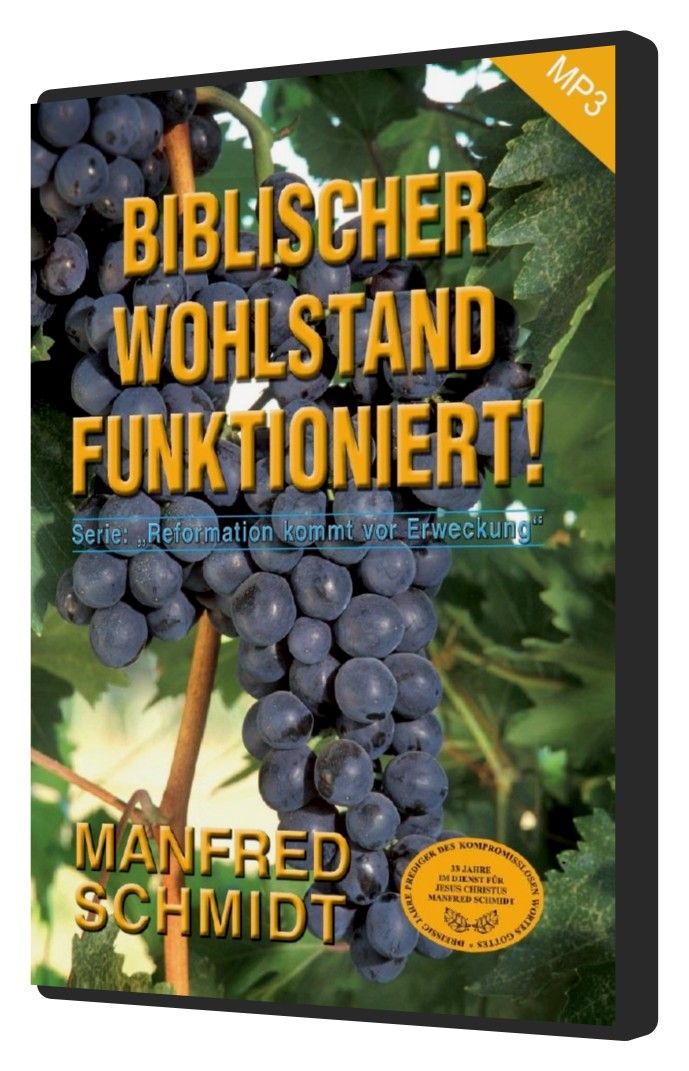 Manfred Schmidt: Biblischer Wohlstand funktioniert! (MP3-1 CD)